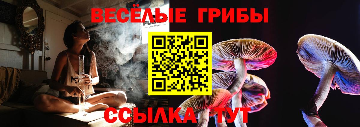 Владимир  Псилоцибиновые грибы мухоморы  Вход с VPN 